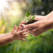 Verantwortungsvolle Naturliebe