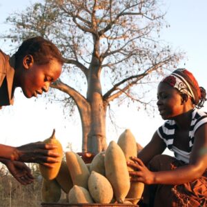 Baobab Social Business “Baobab Frucht Stück” -Bio 1Stk